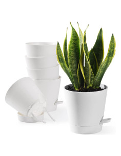 Macetas Autorriego 6 PCS Qaobo 12,7 cm Drenaje Blanco