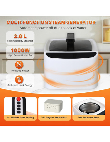 Sauna de Vapor Portátil TOREAD 1000W Plegable para Casa