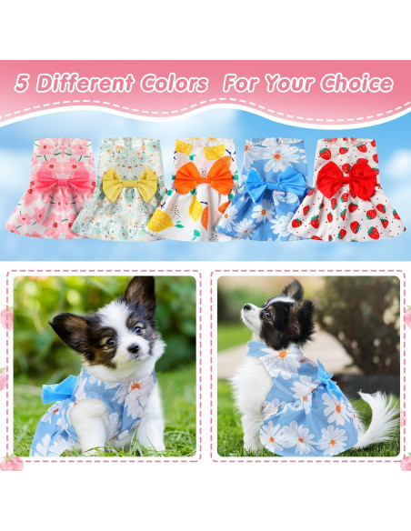 5 Piezas Ropa para Perros Saintrygo Vestidos Verano 5 Piezas Ropa para Perros Saintrygo Vestidos Verano