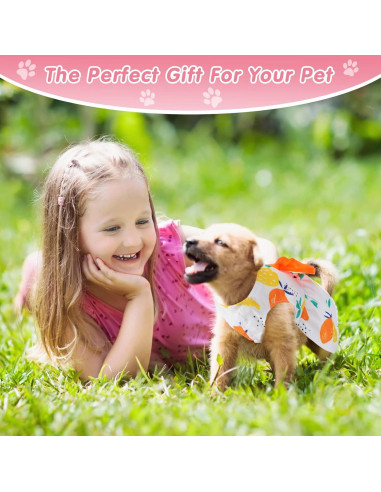 5 Piezas Ropa para Perros Saintrygo Vestidos Verano