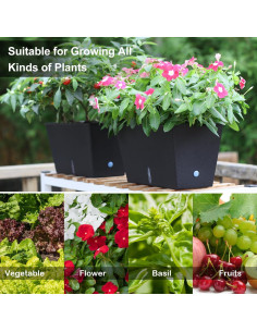 Macetero Autorriego Oliz 6 Pcs 30.73x16.26x16 cm Negro 2