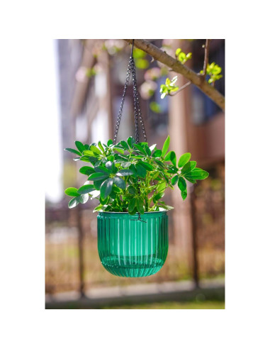 Macetas Colgantes Melphoe 16.5 cm Autorriego Esmeralda