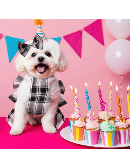 Vestido para Perros PETCARE Rosa con Correa y Lazo