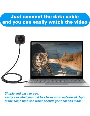 Cámara Espía para Mascotas LYML.E1 1080p con Collar Ajustable