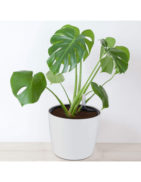 Macetas Autorriego ZOENHOU 4 Piezas 18 cm Blancas