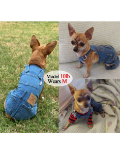 Mono de Mezclilla para Perros Tealots Azul Pequeño 2
