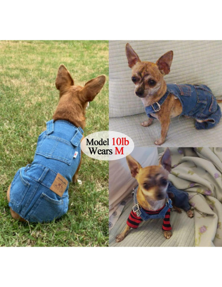 Mono de Mezclilla para Perros Tealots Azul Pequeño