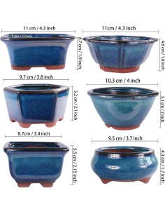 Macetas Bonsai MUZHI 6 Pack Esmaltadas 10 cm Azul 2
