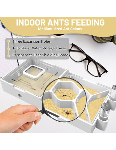 Granja de Hormigas PioneerAnts Modelo-D con Arena Amarilla