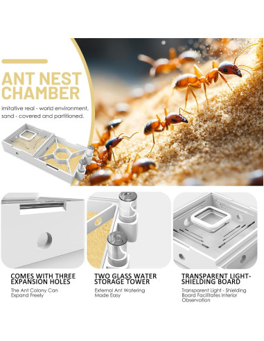 Granja de Hormigas PioneerAnts Modelo-D con Arena Amarilla