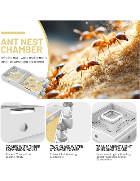 Granja de Hormigas PioneerAnts Modelo-D con Arena Amarilla