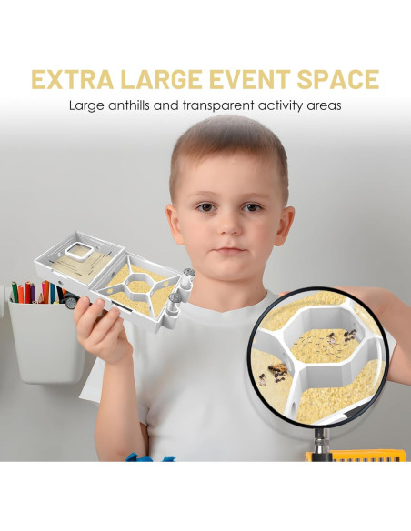 Granja de Hormigas PioneerAnts Modelo-D con Arena Amarilla