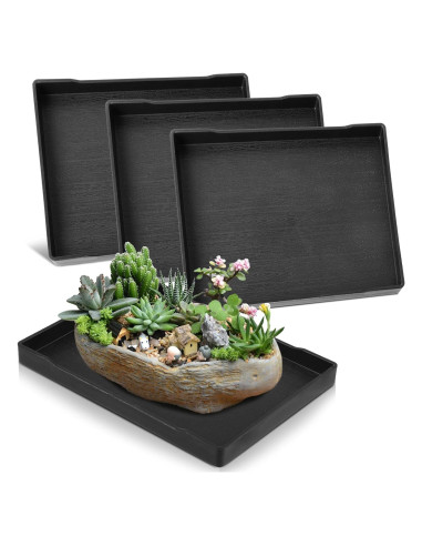 4 Bandejas de Drenaje CODOHI para Bonsai 30x22x2cm