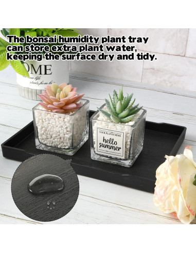 4 Bandejas de Drenaje CODOHI para Bonsai 30x22x2cm