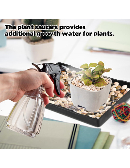 4 Bandejas de Drenaje CODOHI para Bonsai 30x22x2cm