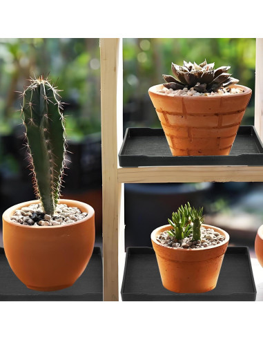 4 Bandejas de Drenaje CODOHI para Bonsai 30x22x2cm