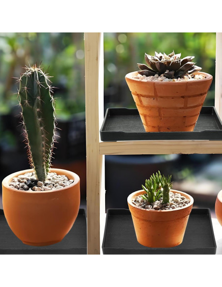 4 Bandejas de Drenaje CODOHI para Bonsai 30x22x2cm