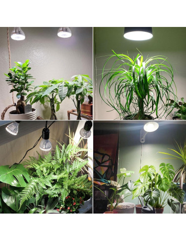 Bombilla de Cultivo SANSI 5W Regulable con Control Remoto