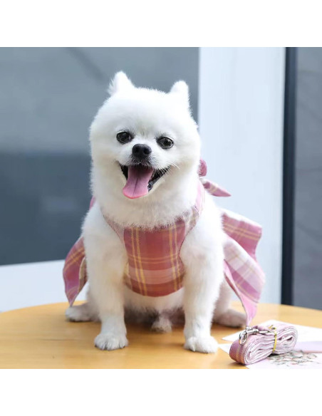 Conjunto Arnés y Vestido para Perro PETCARE Rosa S