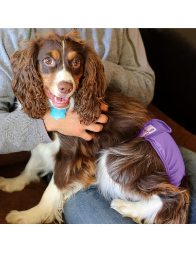 Paquete de 3 Pañales Lavables para Perros Pet Parents Grande