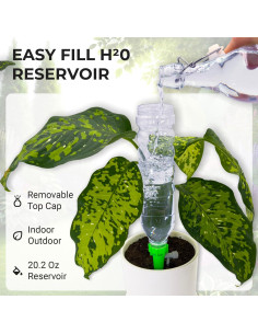 Insertos de riego automático BabaBerry 3 picos ajustables 2