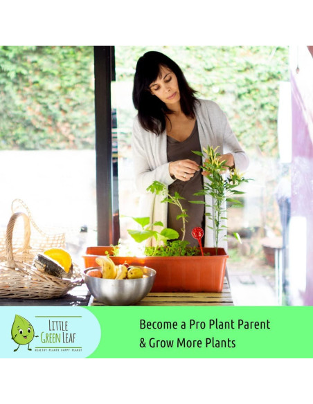 Esferas de Riego Automático LGL - 4 Piezas de Vidrio