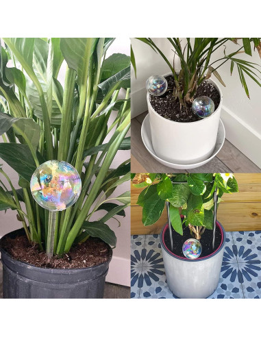 Esferas de Riego para Plantas Pynqdfu 3 Pcs 22 cm Vidrio