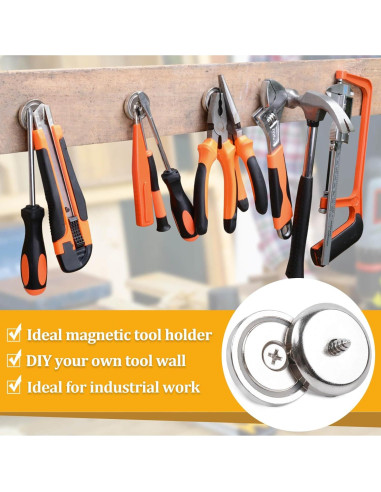 12 Imanes de Neodimio MIN CI 20mm Alta Resistencia