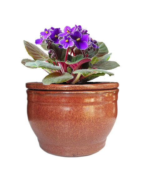 Maceta Autorriego Dphagesy 15 cm Cerámica Cobre Redonda Maceta Autorriego Dphagesy 15 cm Cerámica Cobre Redonda