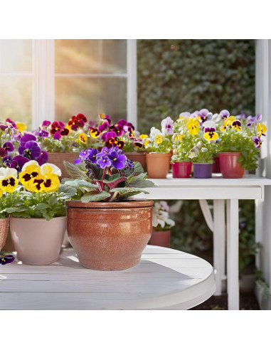 Maceta Autorriego Dphagesy 15 cm Cerámica Cobre Redonda