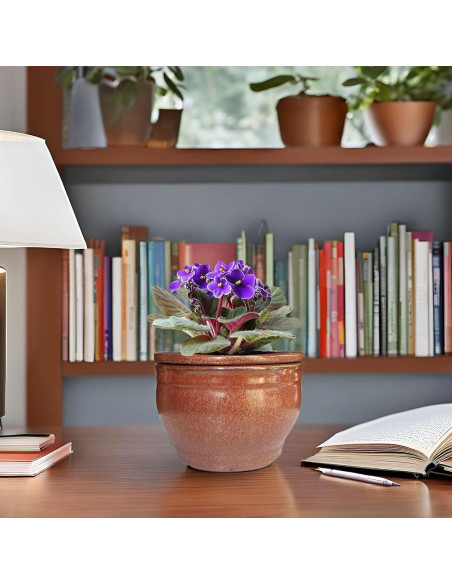 Maceta Autorriego Dphagesy 15 cm Cerámica Cobre Redonda Maceta Autorriego Dphagesy 15 cm Cerámica Cobre Redonda