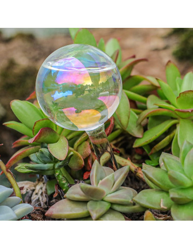 3 Esferas de Riego Automáticas de Vidrio zHzHGuo 110ml