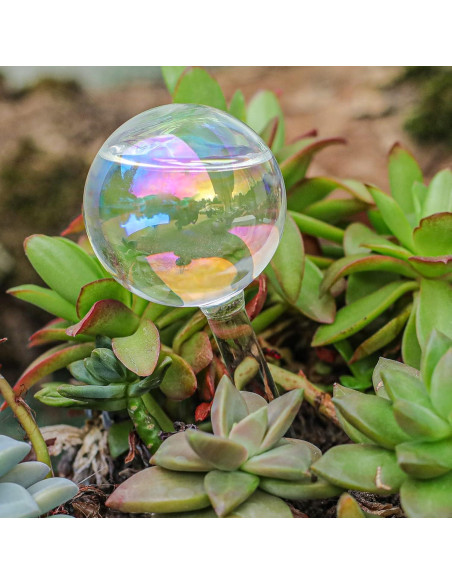 3 Esferas de Riego Automáticas de Vidrio zHzHGuo 110ml