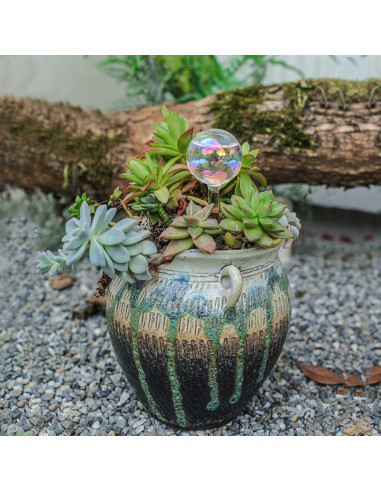 3 Esferas de Riego Automáticas de Vidrio zHzHGuo 110ml