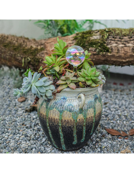 3 Esferas de Riego Automáticas de Vidrio zHzHGuo 110ml