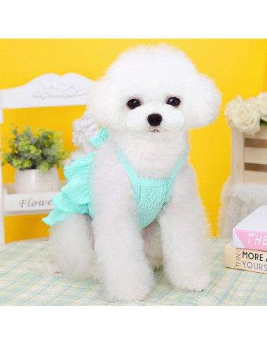 Vestido Verde para Perros Pequeños Wiz BBQT - Sin Mangas