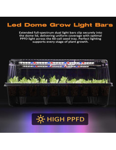 Bandeja de Inicio de Semillas Patigrow 120 Celdas Autorriego 2