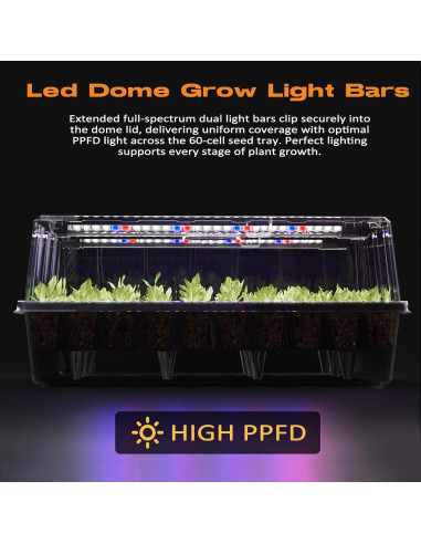 Bandeja de Inicio de Semillas Patigrow 120 Celdas Autorriego