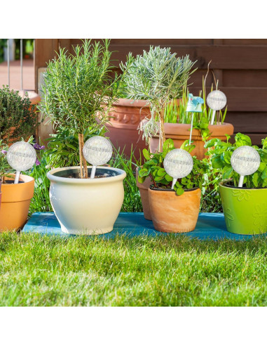 Esferas de Riego Automático Uiifan 8 Pcs Vidrio 21 cm