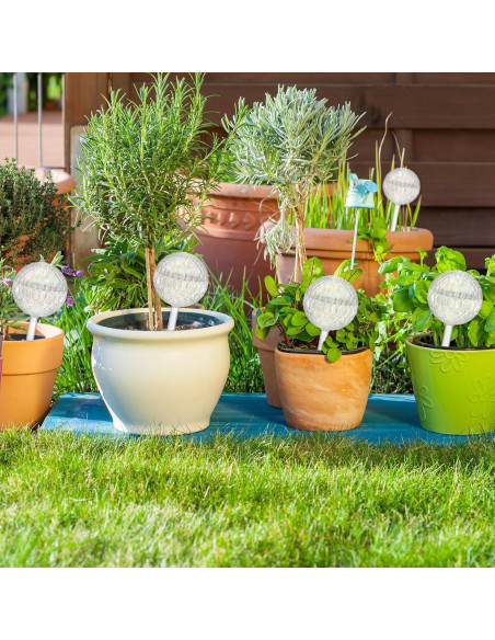 Esferas de Riego Automático Uiifan 8 Pcs Vidrio 21 cm