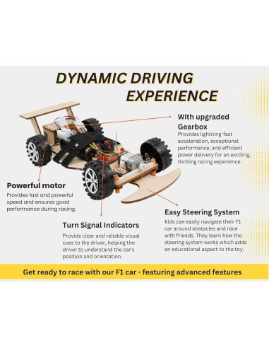 Kit de Coche F1 Control Remoto Pica Toys 21.8x11.9 cm