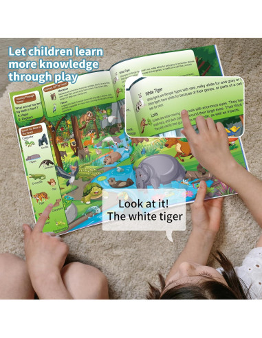 Paquete de 4 Libros de Actividades Buscar y Encontrar Elfew