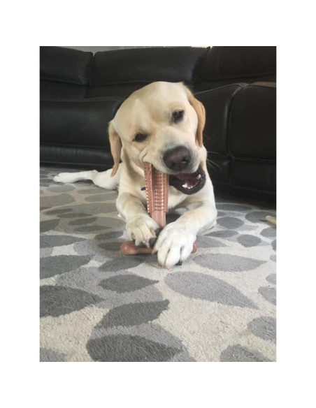 Juguete Masticar Perro SPOT Bam-Bones T-Bone 15 cm Sabor Res