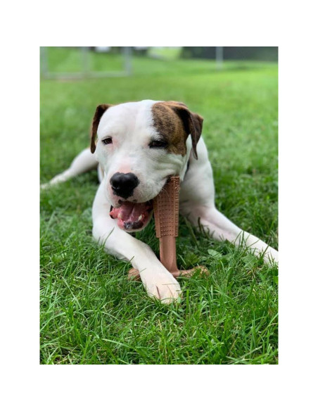 Juguete Masticar Perro SPOT Bam-Bones T-Bone 15 cm Sabor Res