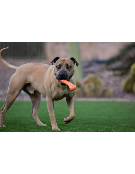 Hueso Jolly Pets Flex-N-Chew Grande Naranja 22,86 cm
