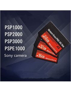 Tarjeta de Memoria 64GB Memory Stick PRO-HG Duo LI 2