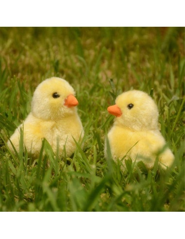 Juguete de Peluche Pollito Amarillo Squishmallows 12 cm