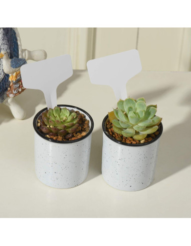 100 Etiquetas de Jardín MIHEY Tipo T con Bolígrafo Blancas 6x10cm