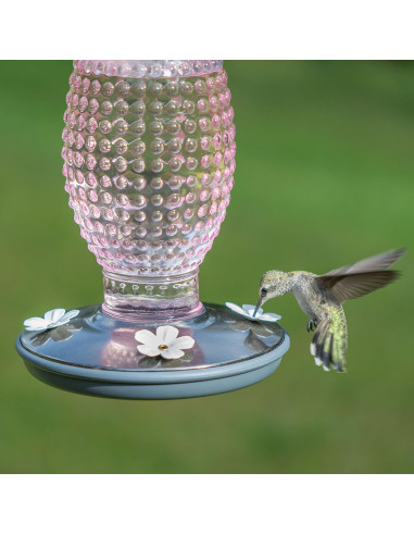 Alimentador de Colibríes Vintage Perky-Pet 8131-2 710 ml