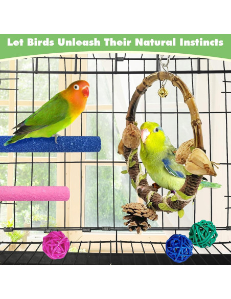 Columpio para Aves Hamiledyi con 6 Accesorios para Loros